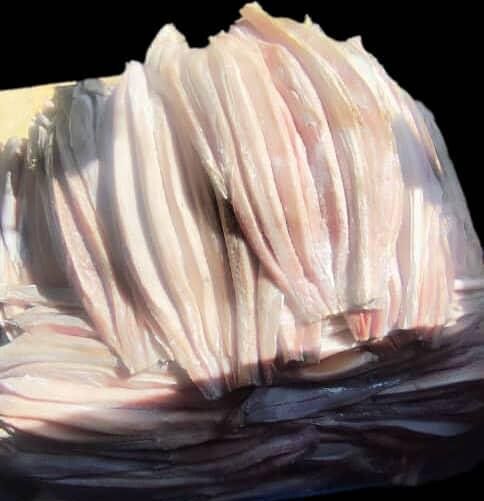 Fresh catch landed in Kismayo